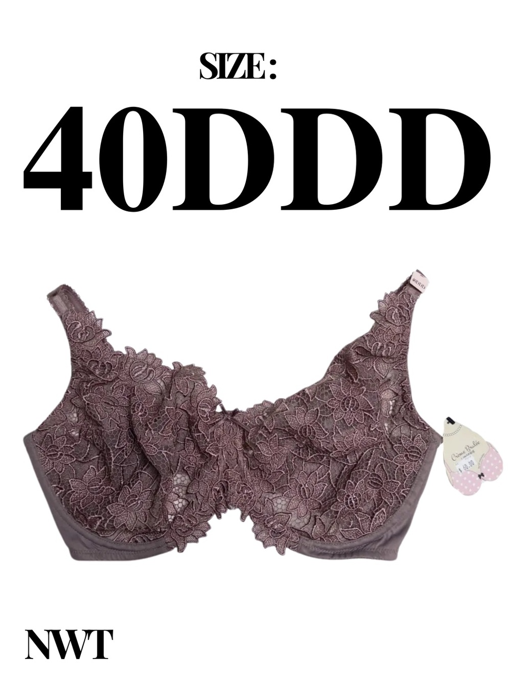 Crème Bralée by QT Intimates Lace Underwire Bra NWT — Size 40DDD